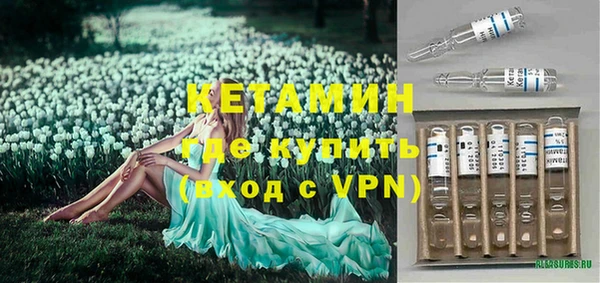 прущие грибы Елабуга