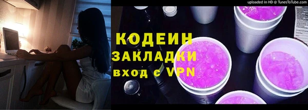 прущие грибы Елабуга