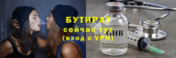 прущие грибы Елабуга