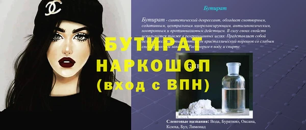 прущие грибы Елабуга