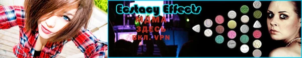 прущие грибы Елабуга
