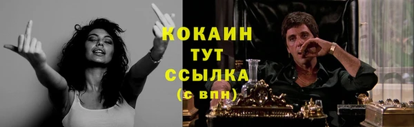 ГАЛЛЮЦИНОГЕННЫЕ ГРИБЫ Ельня