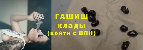 прущие грибы Елабуга