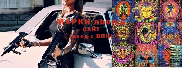 ГАЛЛЮЦИНОГЕННЫЕ ГРИБЫ Ельня