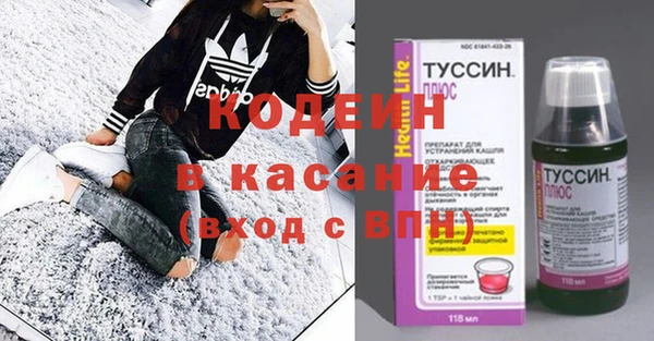 ГАЛЛЮЦИНОГЕННЫЕ ГРИБЫ Ельня