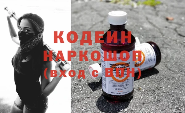 прущие грибы Елабуга