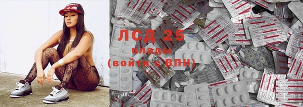 прущие грибы Елабуга