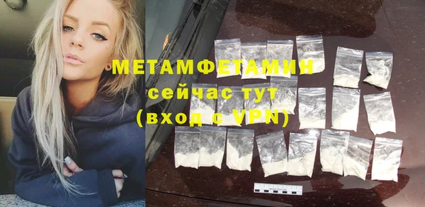 ГАЛЛЮЦИНОГЕННЫЕ ГРИБЫ Ельня