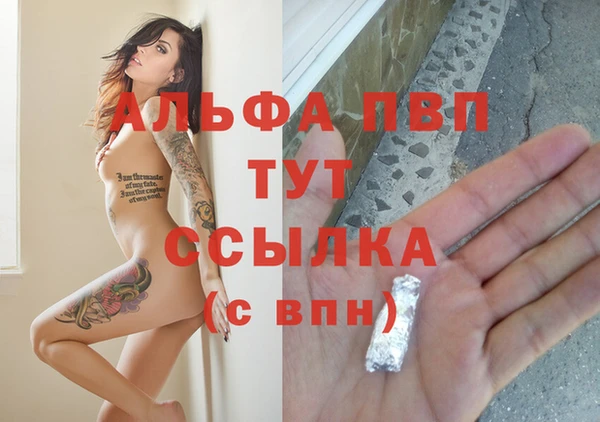 прущие грибы Елабуга
