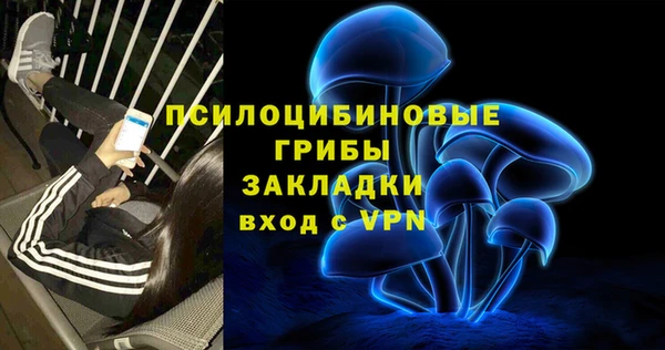 МДМА Елизово