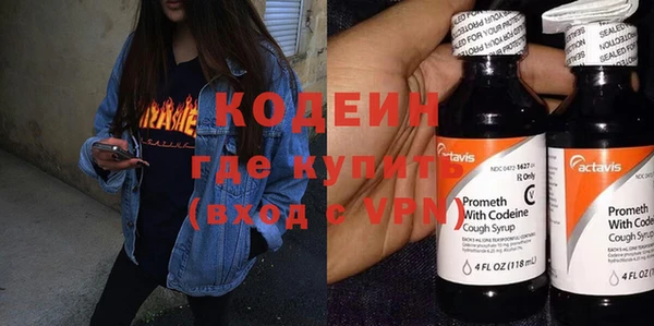 ГАЛЛЮЦИНОГЕННЫЕ ГРИБЫ Ельня