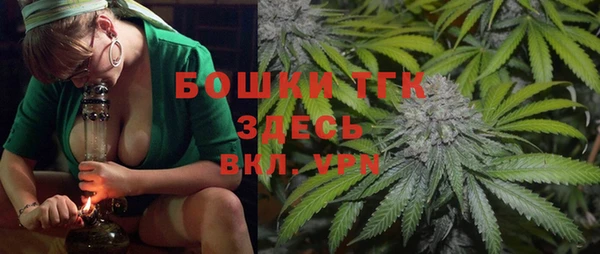 прущие грибы Елабуга