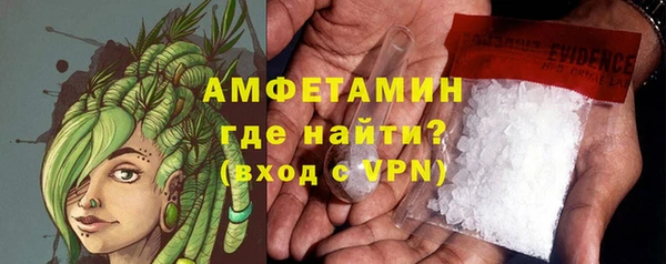 ГАЛЛЮЦИНОГЕННЫЕ ГРИБЫ Ельня