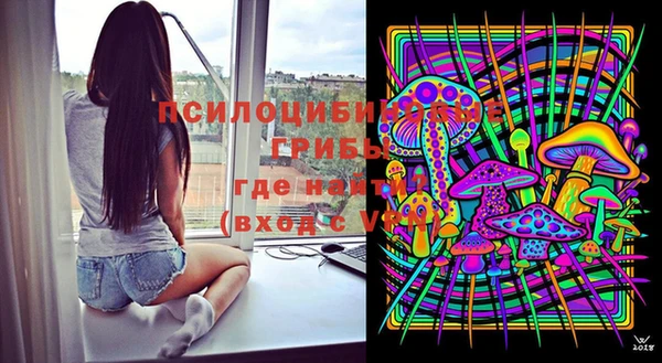 МДМА Елизово