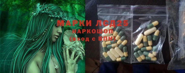 ГАЛЛЮЦИНОГЕННЫЕ ГРИБЫ Ельня