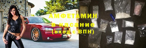 прущие грибы Елабуга