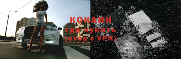 ГАЛЛЮЦИНОГЕННЫЕ ГРИБЫ Ельня