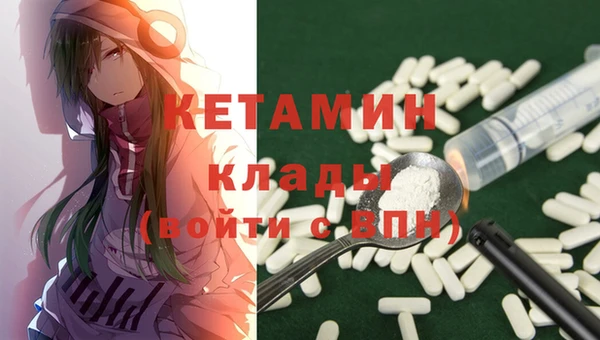 прущие грибы Елабуга