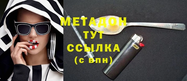прущие грибы Елабуга
