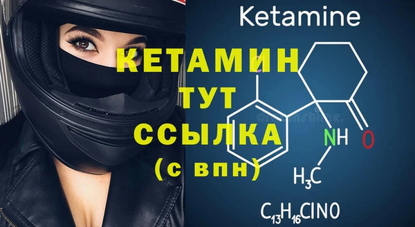 прущие грибы Елабуга